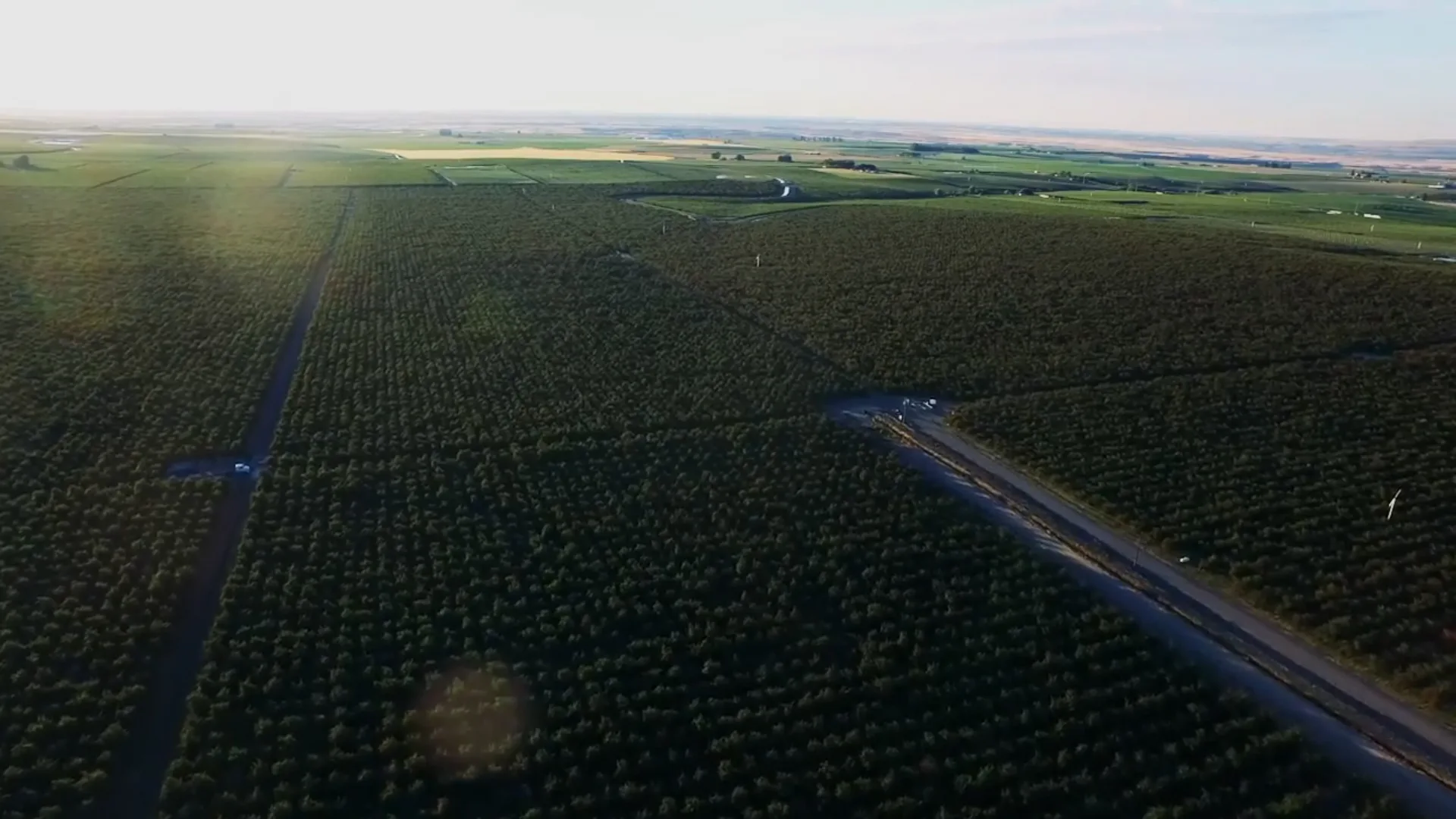 dried fruits royal city wa