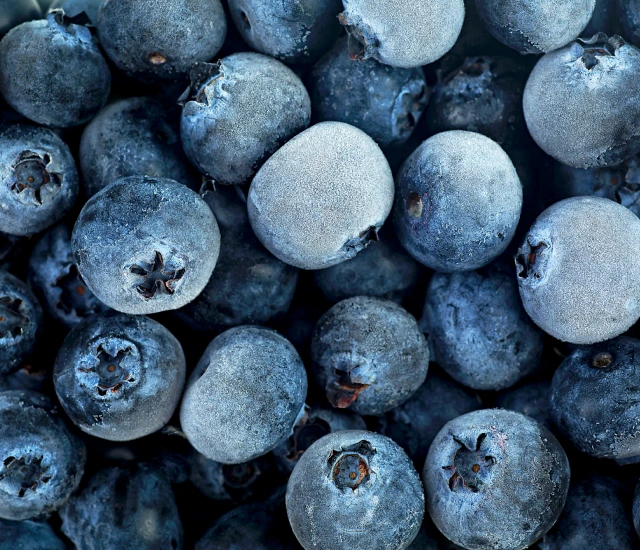 iqf blueberriesroyal city